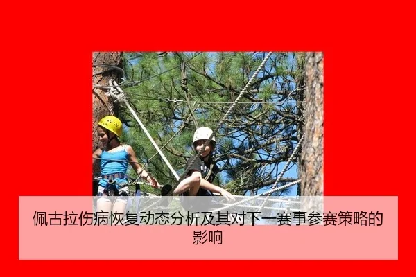 佩古拉伤病恢复动态分析及其对下一赛事参赛策略的影响